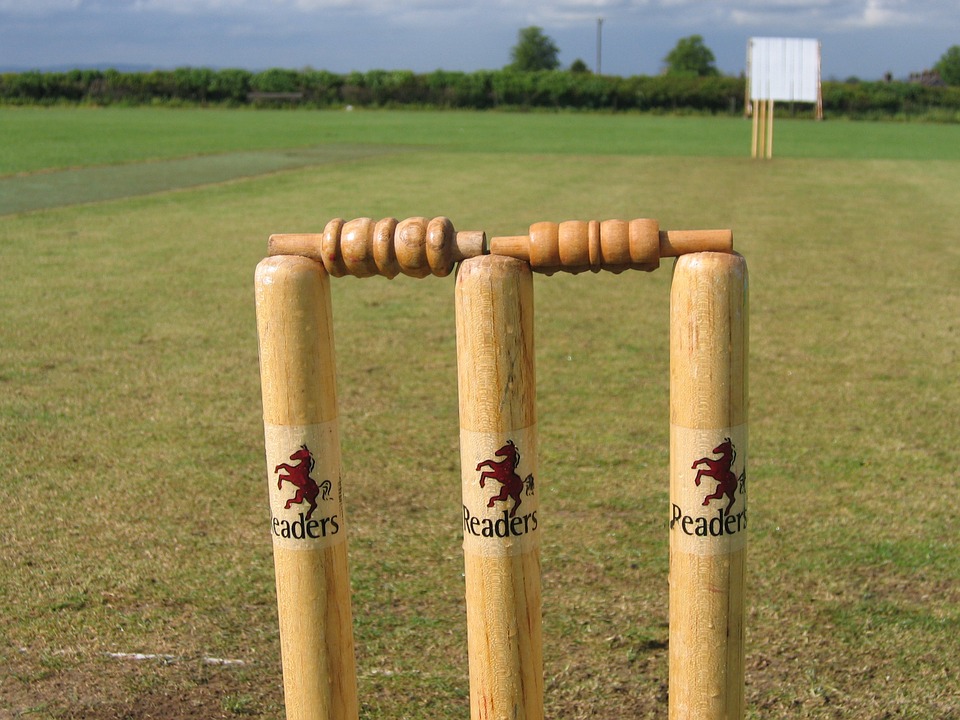Photo of cricket stumps