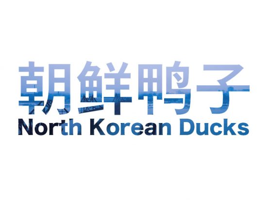 North Korean Ducks